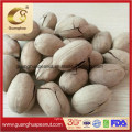 Nutritious and Healthy High Quality Pecan